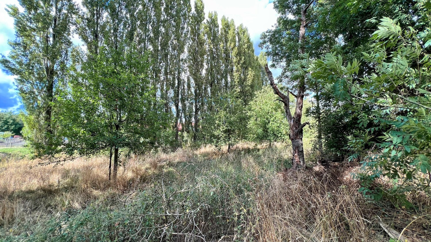 Loods met woongelegenheid op royaal perceel van 6000 m² 