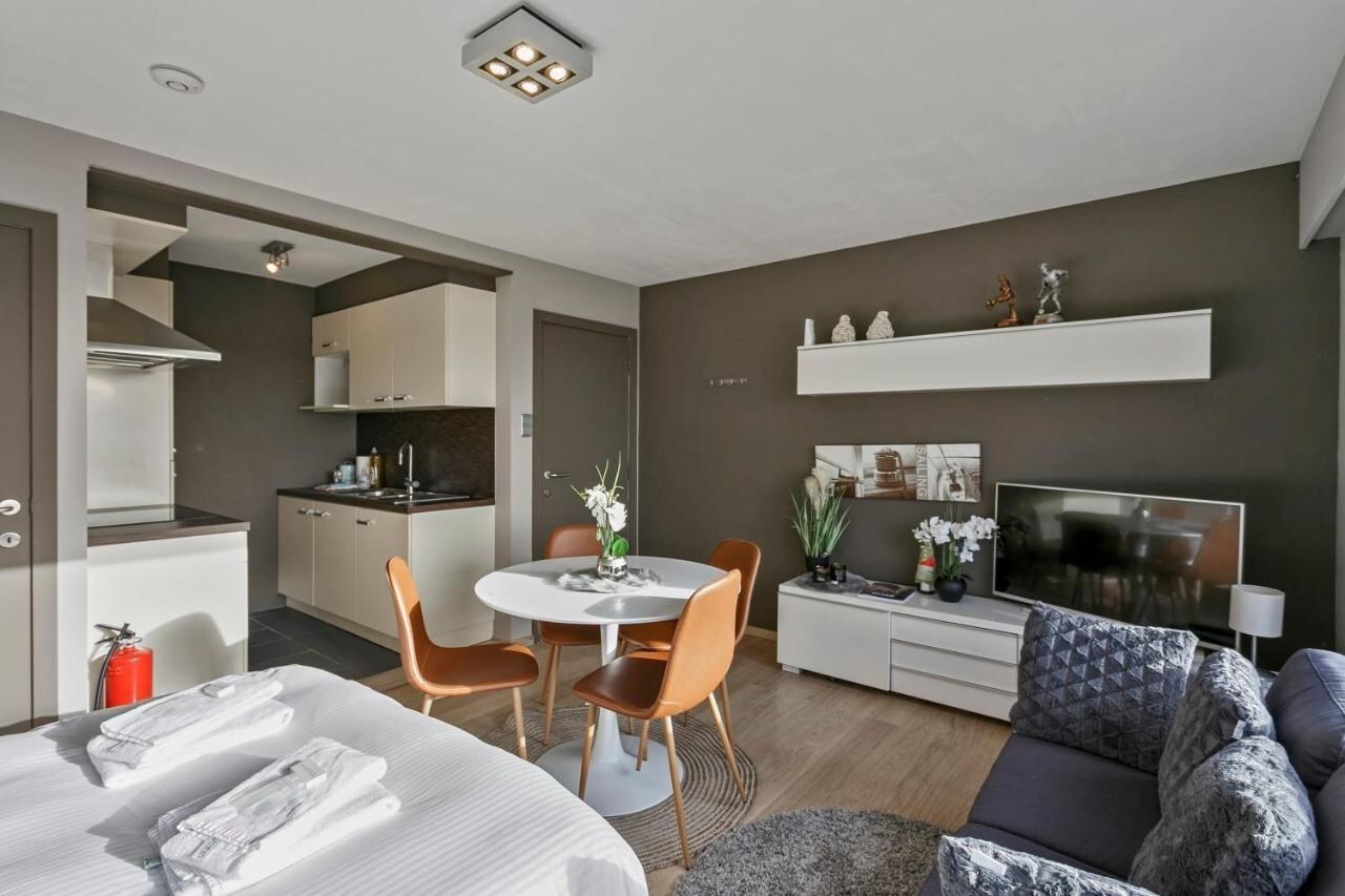KNUSSE STUDIO NABIJ STRAND BREDENE-DUINEN 