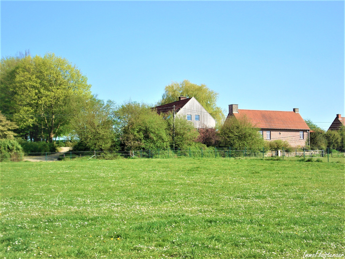 Magnifique propriété avec grande habitation, écuries, salle polyvalente, terrain à bâtir et prairies sur environ 1,67ha à Ellezelles (Hainaut) 