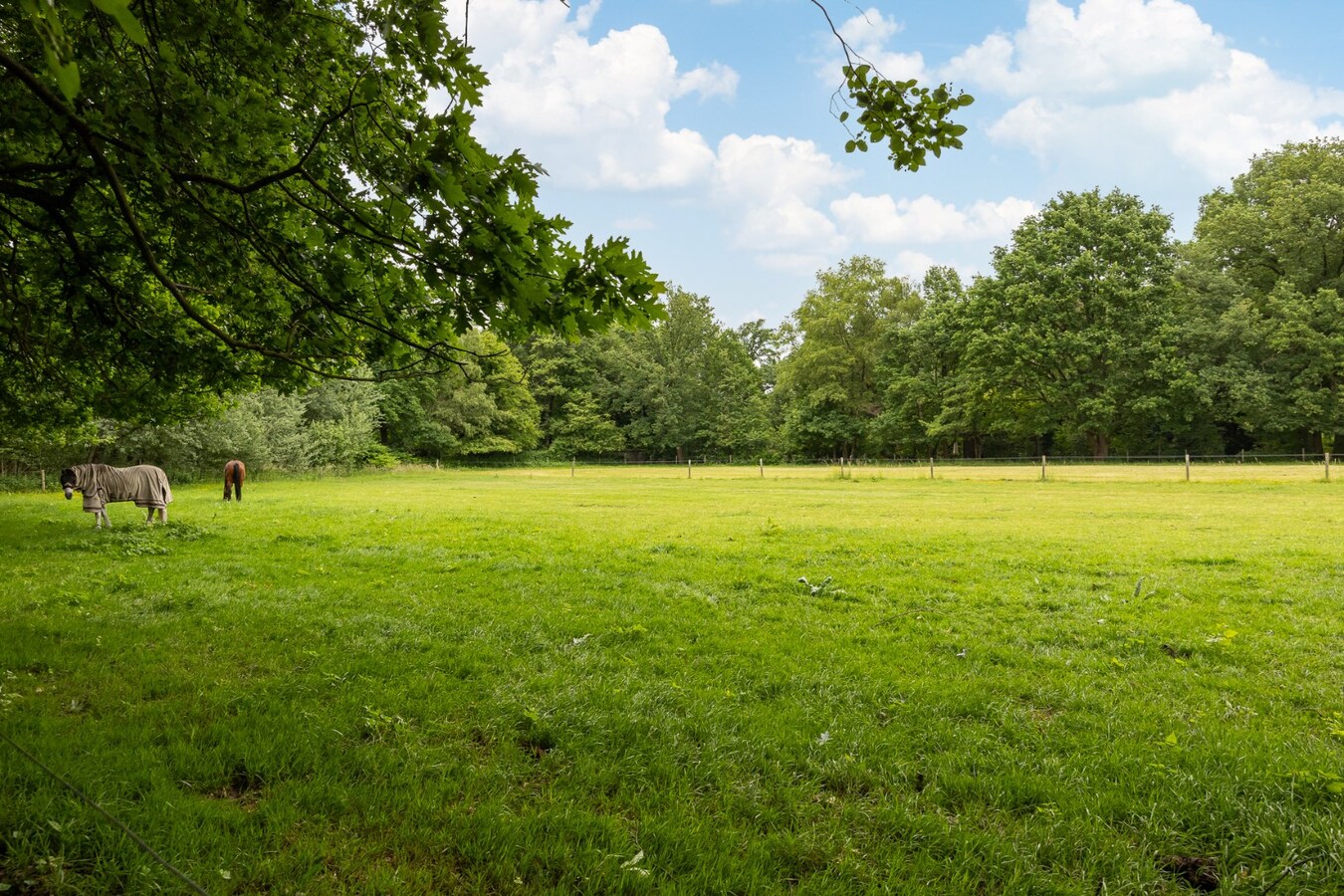 Moderne villa met zwembad op een toplocatie te Schilde! 