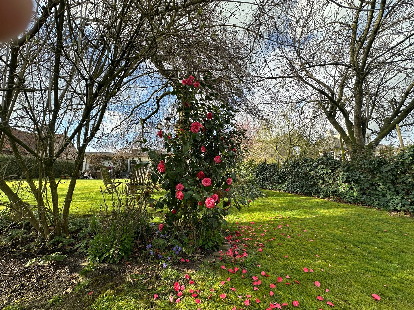 Vrijstaande woning met mooie tuin, perceel van 1158 m², Torhout. 