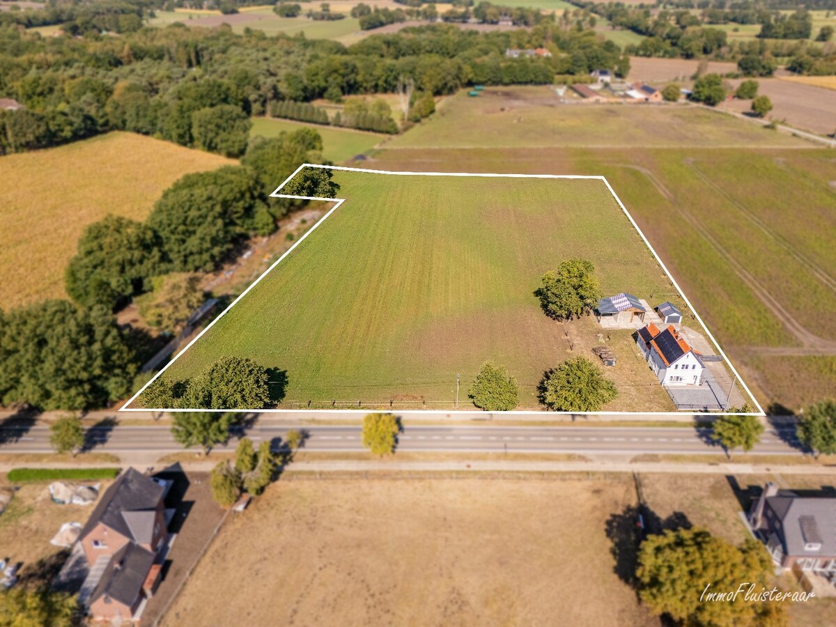 Veelzijdige woning met paardenstallen op ca. 2ha te Helchteren 