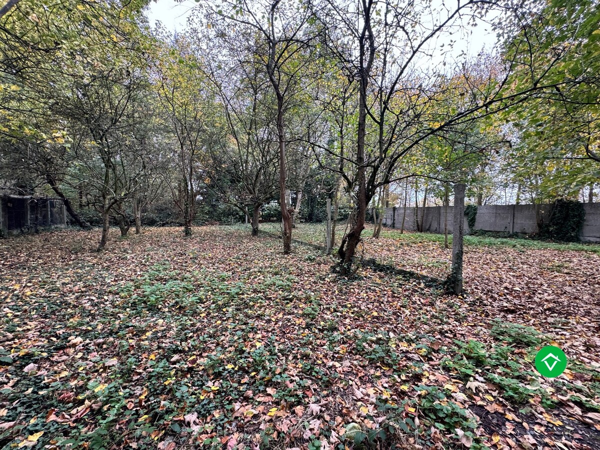 Ruime bungalow op 4140 m² met prachtige zichten en absolute rust in Torhout 