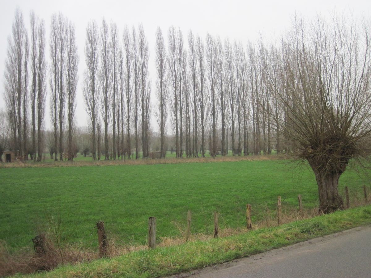 Stijlvolle en degelijke bungalow. Unieke ligging. 