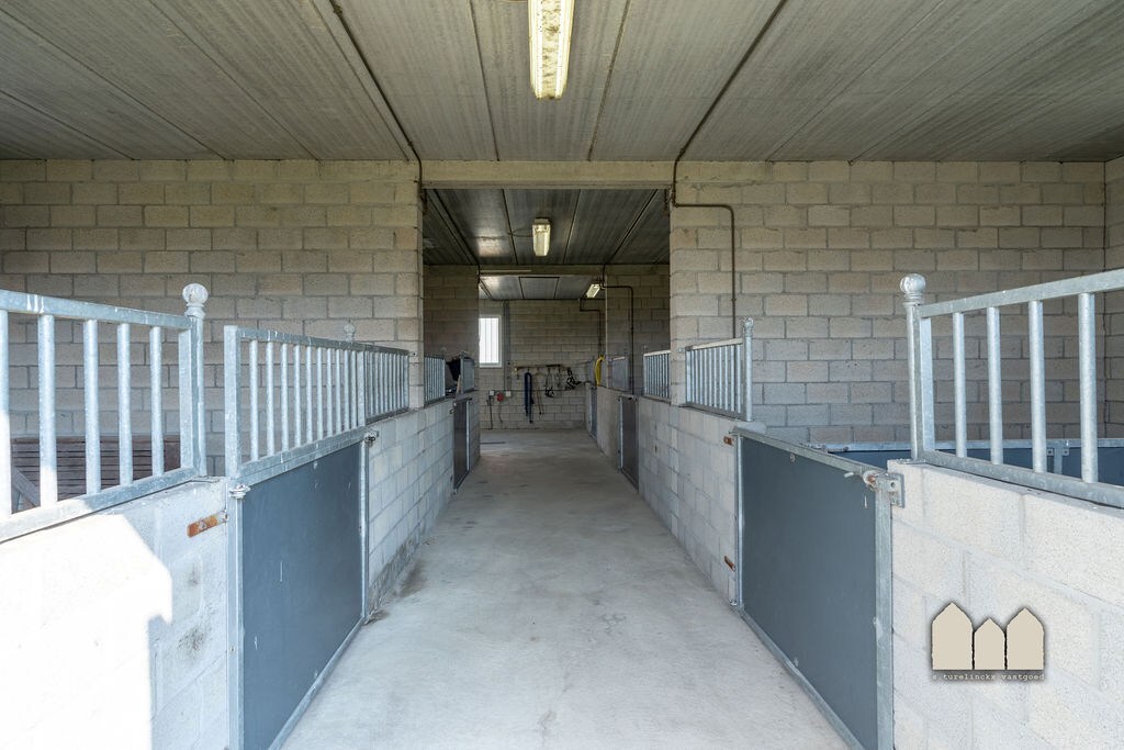 Woning te koop in Weelde