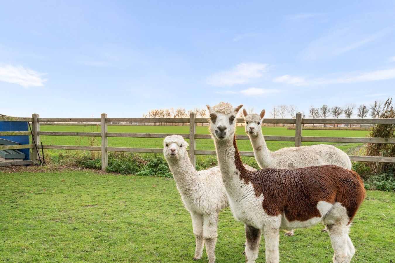 Uiterst charmante halfopen bebouwing met weidse zichten op een perceel van 2012m² 