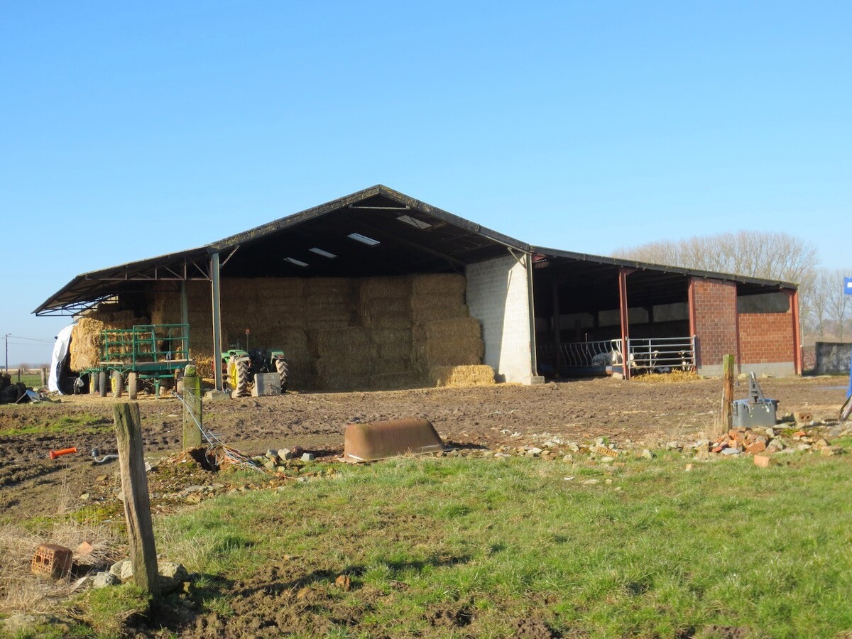 Property sold in Bogaarden