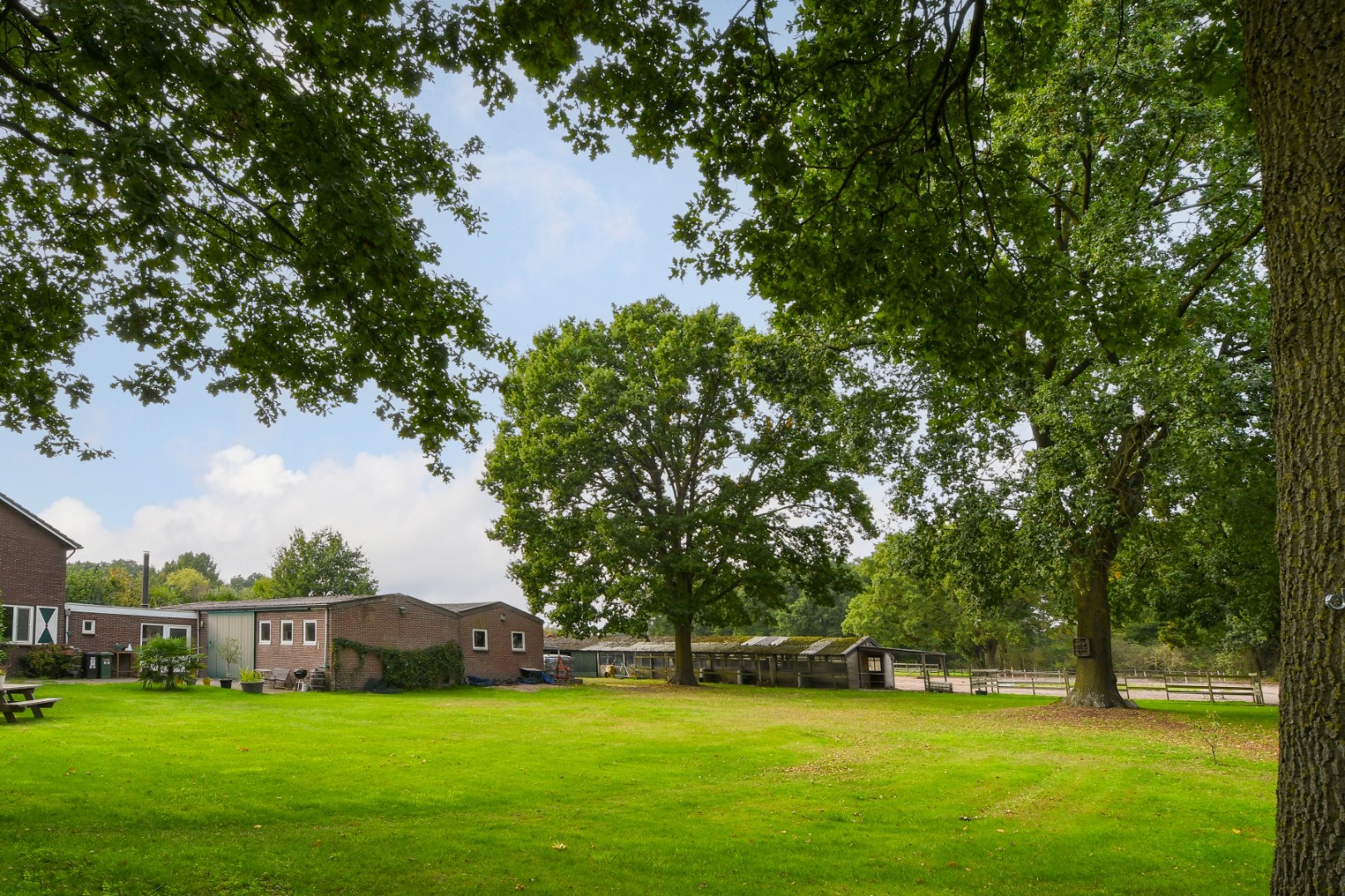 Vrijstaand woonhuis met inpandige garage, stal met 2 paardenboxen, vrijstaande inloopstal en verlichte zandpaddock met longeercirkel op een perceel van ruim 18.500 m2. Ideaal voor paardenliefhebbers. 
