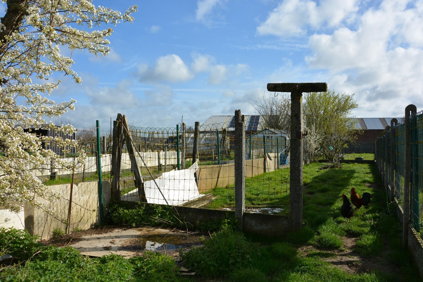 Karaktervolle woning met dubbele garage op 1.408m² 