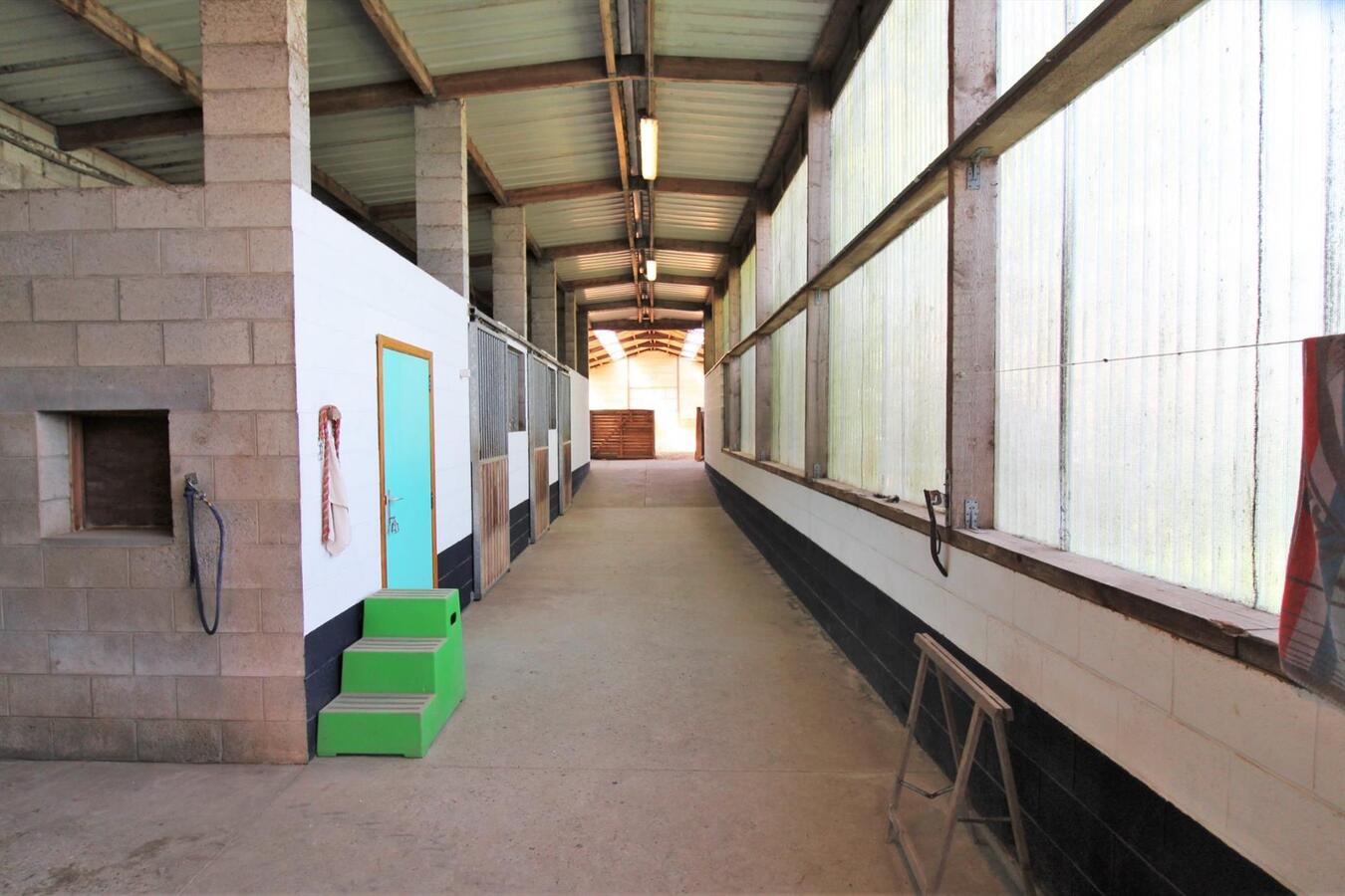 Maison avec centre équestre et appartement supplémentaire sur environ 1.3ha à Hannut (Liège) 