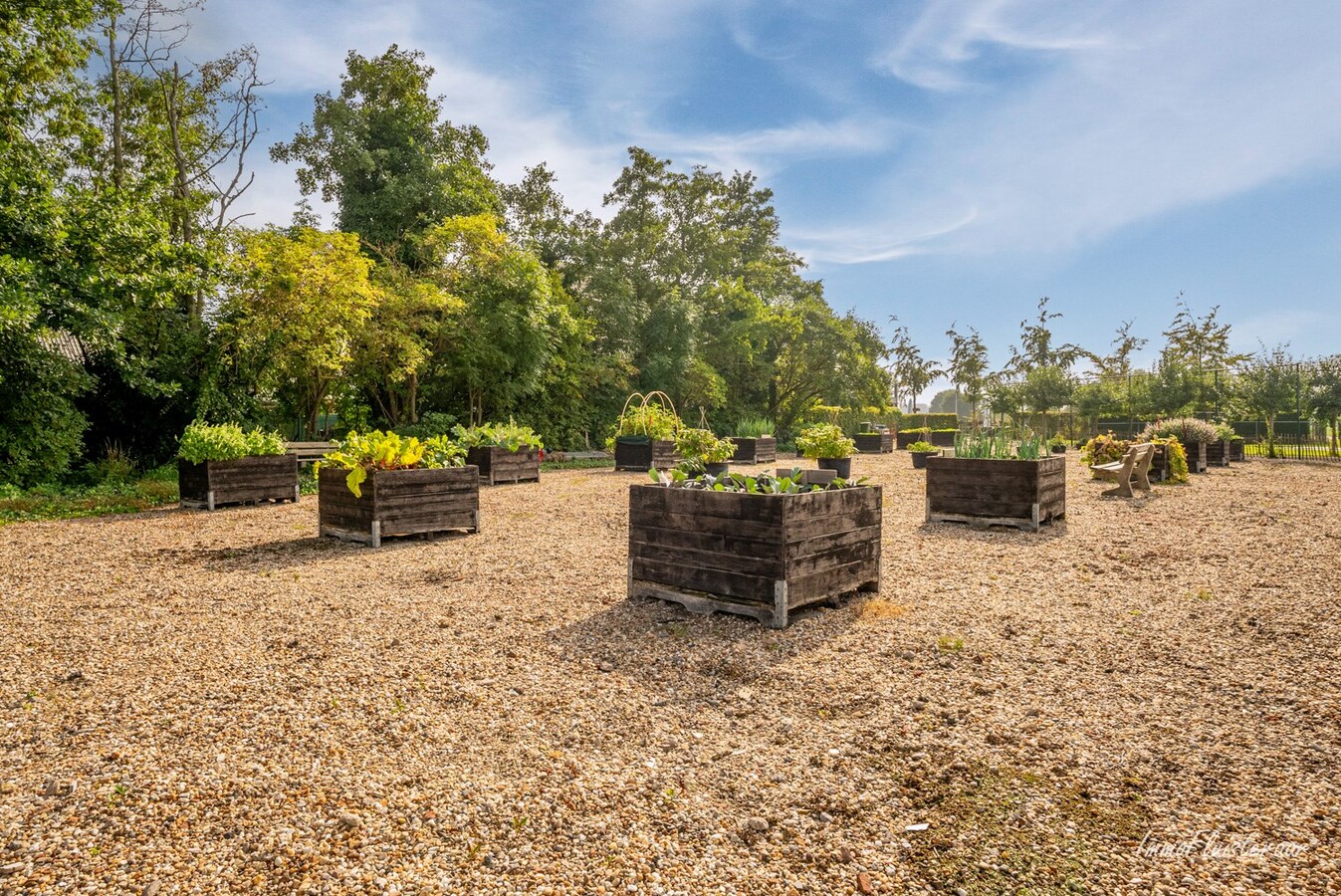 Restaurant vendu À Hulst