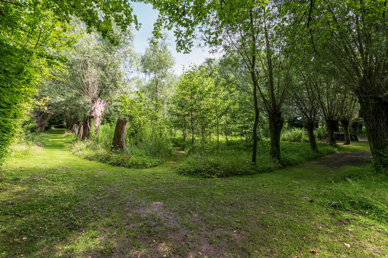 Ruime woning gelegen in een groene omgeving 