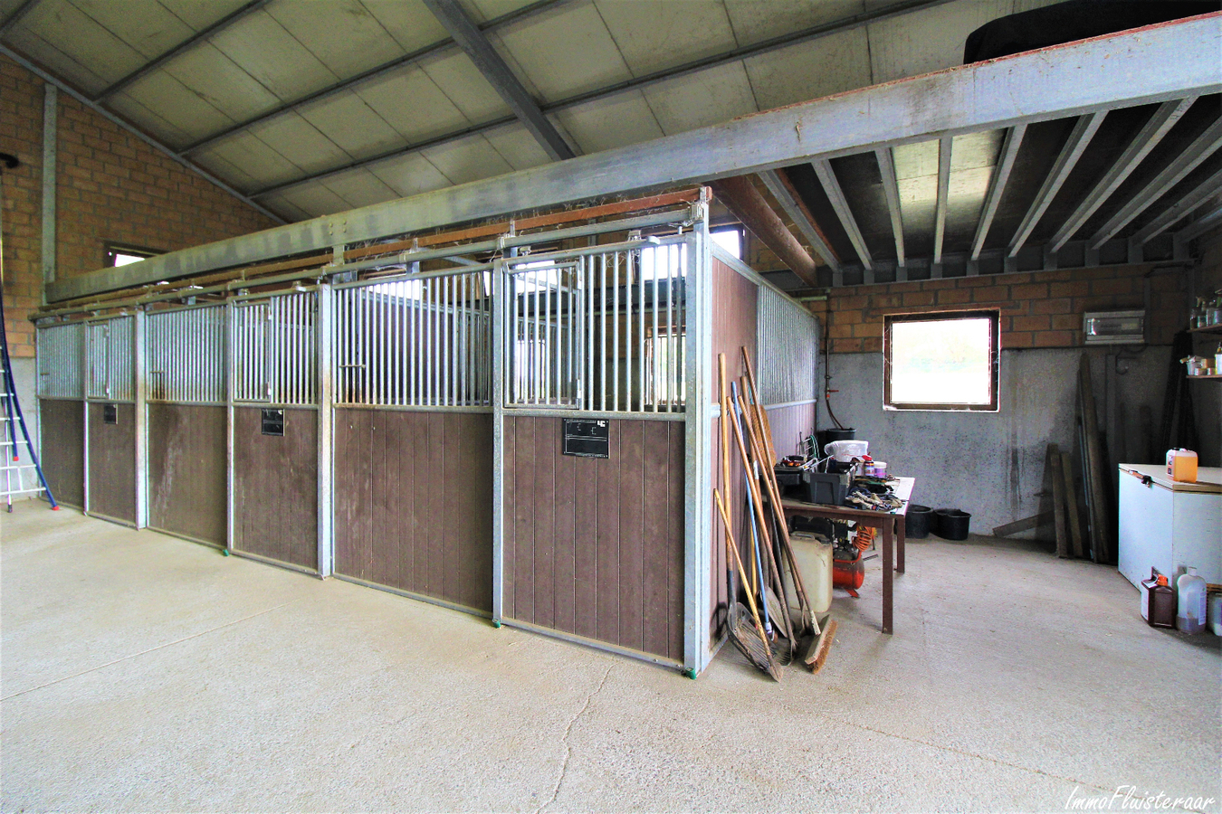 Magnifique propriété avec grande habitation, écuries, salle polyvalente, terrain à bâtir et prairies sur environ 1,67ha à Ellezelles (Hainaut) 