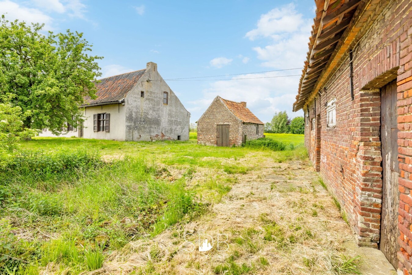 Prachtige hofstede met hoeve, bakhuisje, schuur en graslanden op circa 2,2 HA 