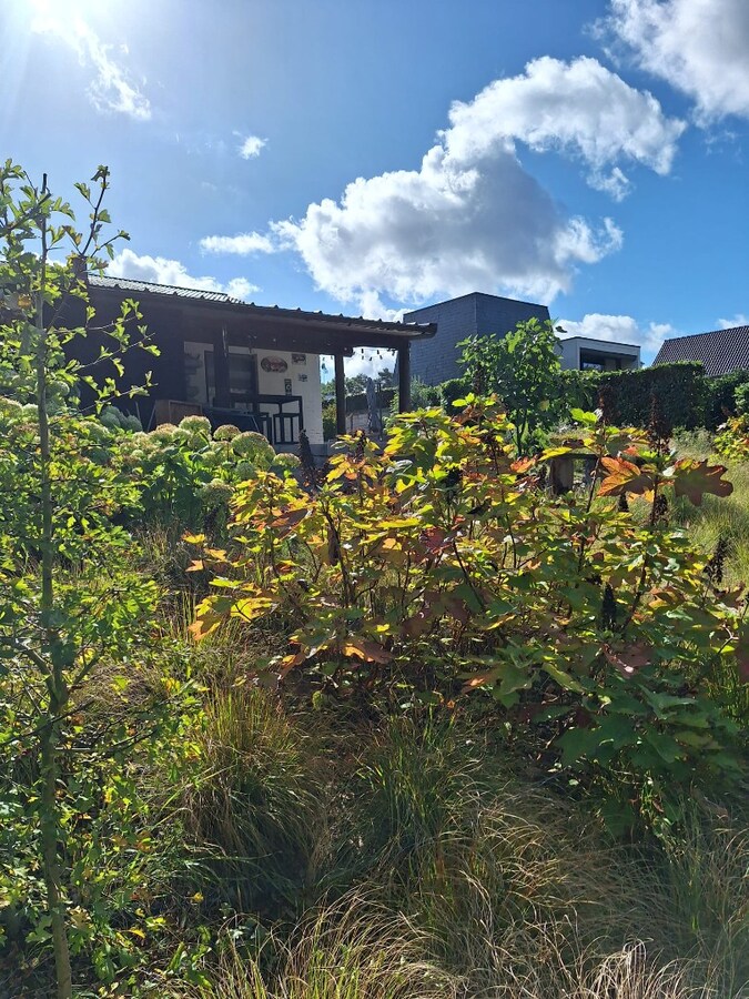 Ruime woning met 4 slaapkamers 