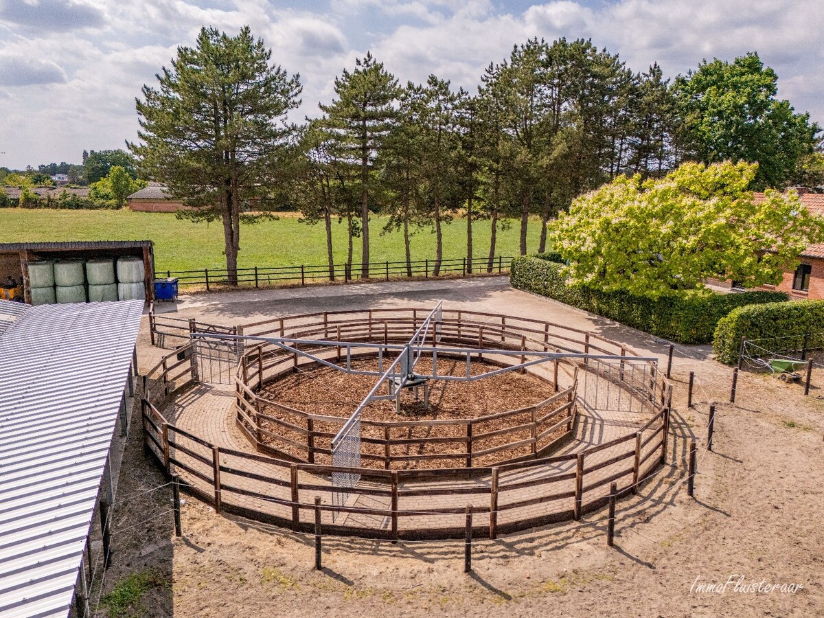 Hippisch complex op ca. 1,9 ha te Rijkevorsel Vergunning voor binnenpiste (60m x 30m) aanwezig! 