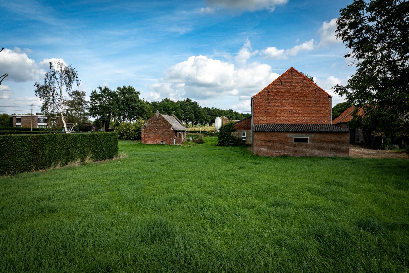 Hoeve met stalgebouwen op ca. 1ha te Bree 