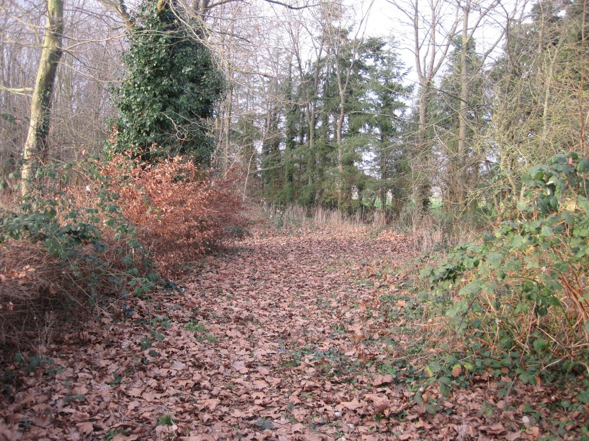 Ruim, landelijk wonen in t groene Melsen. 