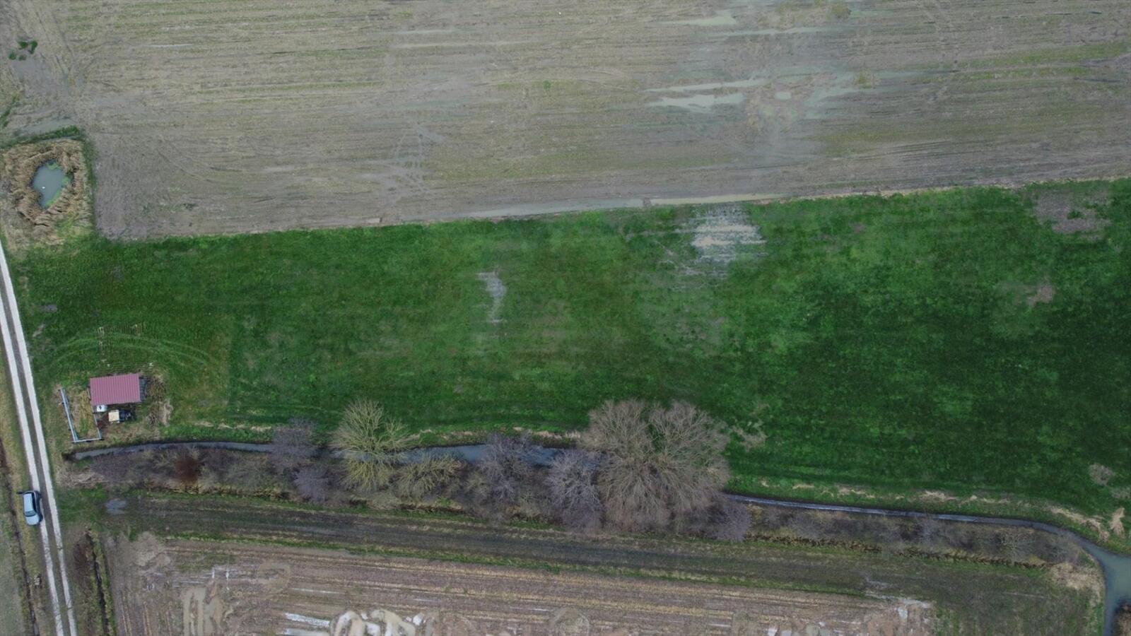 Perceel weiland, ideaal voor dierenliefhebbers 