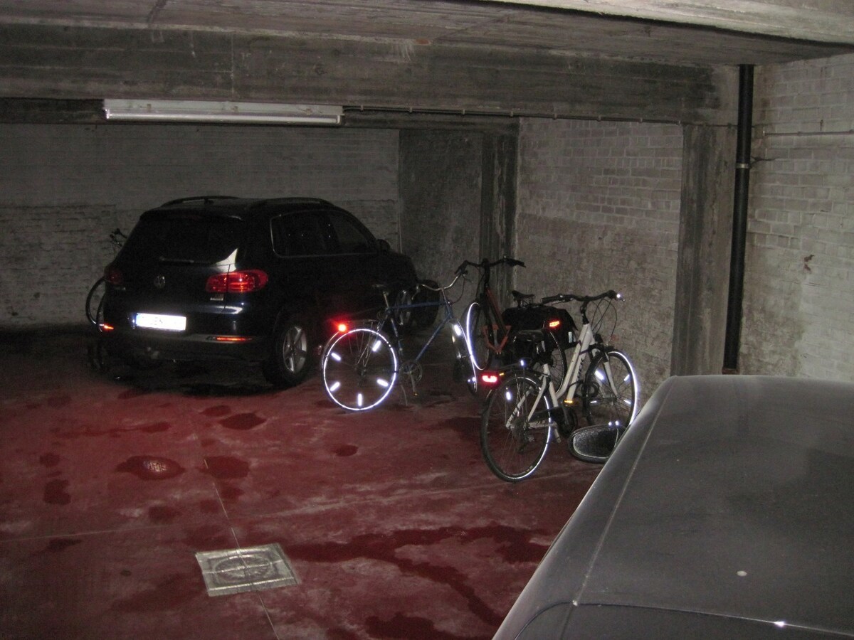 Ruim appartement (4°V) nabij St-Pieters-station 