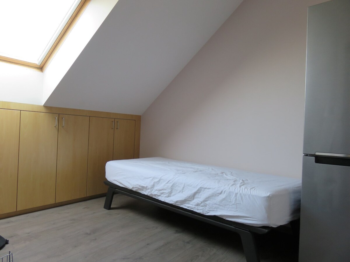 RUIM DAKAPPARTEMENT MET 2 SLAAPKAMERS IN CENTRUM BERINGEN 