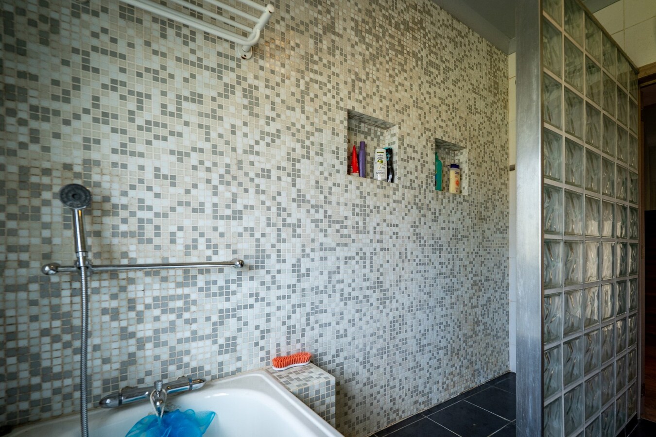 Ruime woning met buitenpiste en kleine binnenpiste op ca. 1,03ha te Hoeselt 