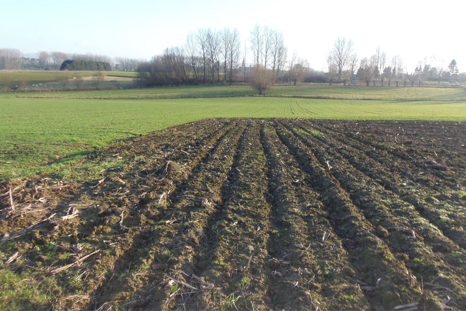 Grond verkocht in Sint-Goriks-Oudenhove