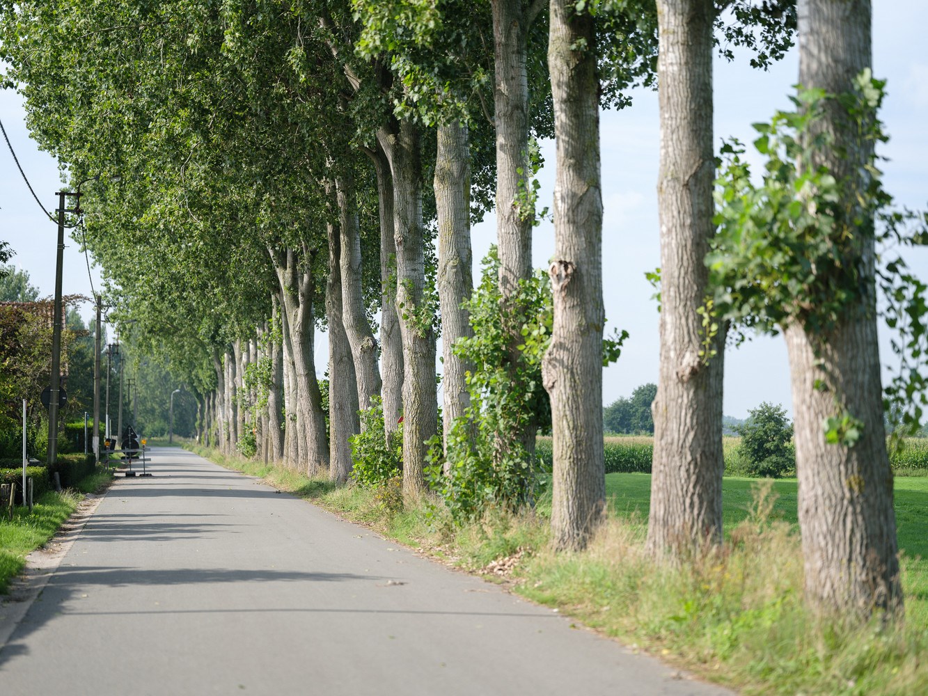 Landelijke luxueuze woning in Wachtebeke. 