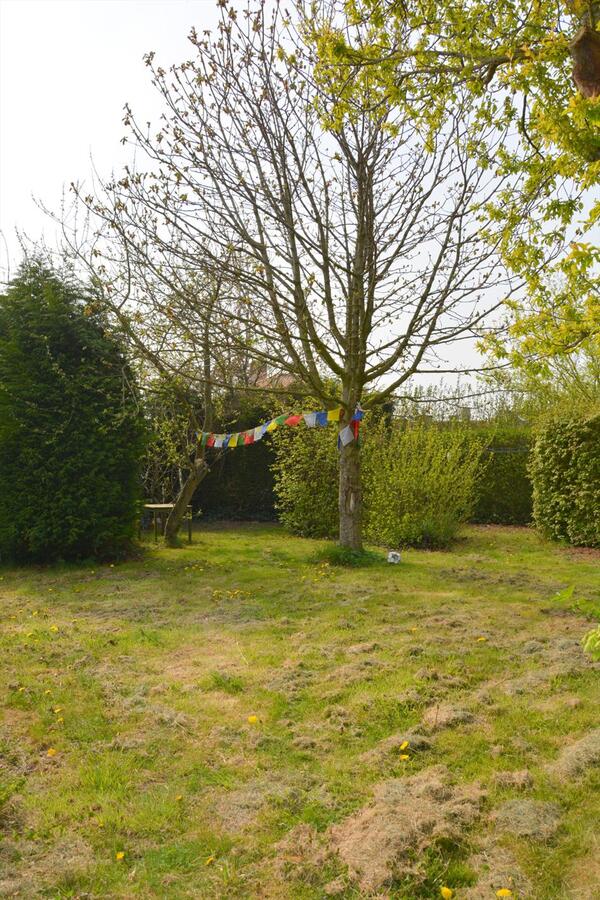 Instapklare woning met 5 slaapkamers op een grondopp. 3.349m² 