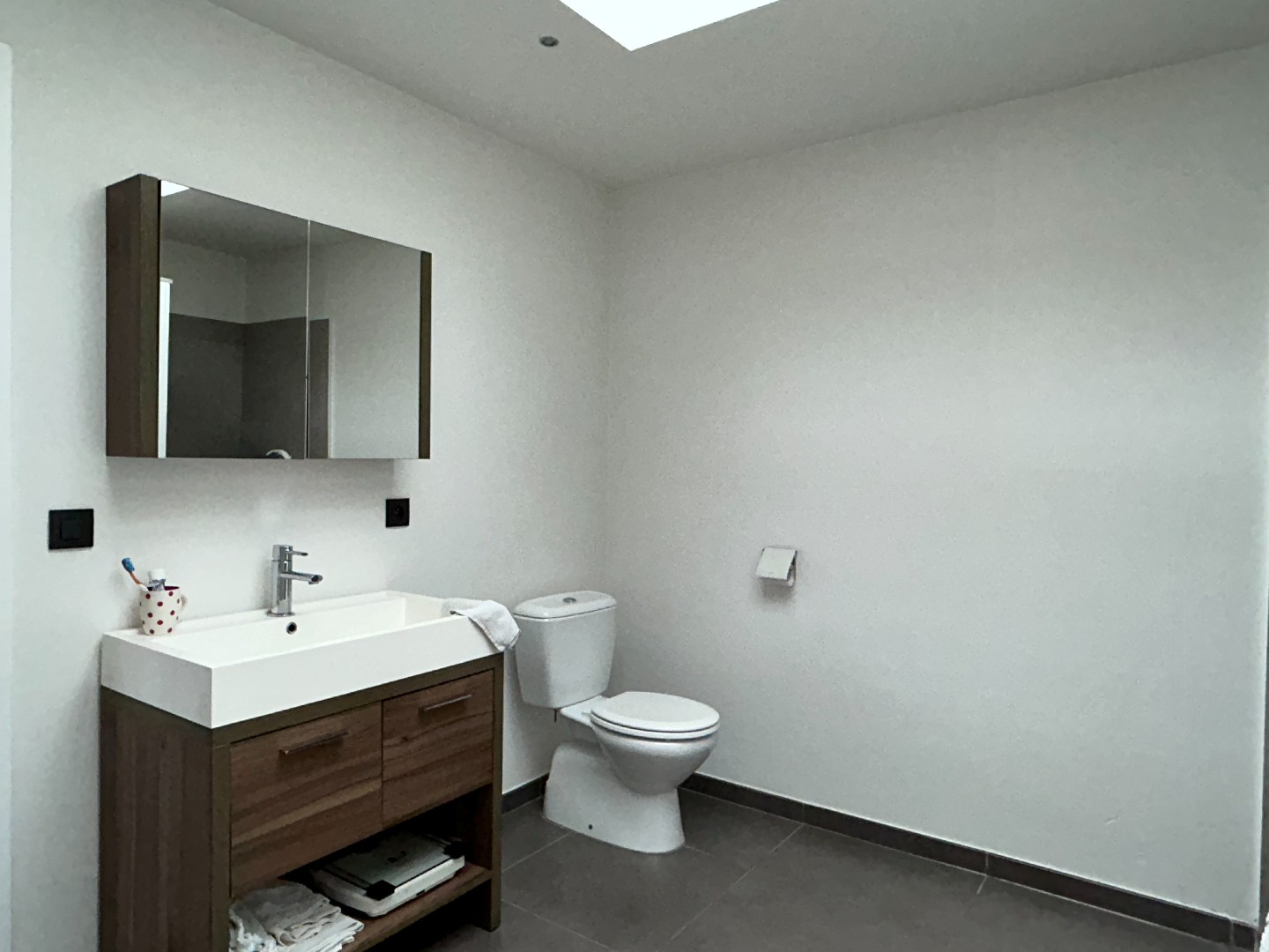 Volledig gerenoveerde woning met winkelruimte, garage en tuin op 1.280m² 