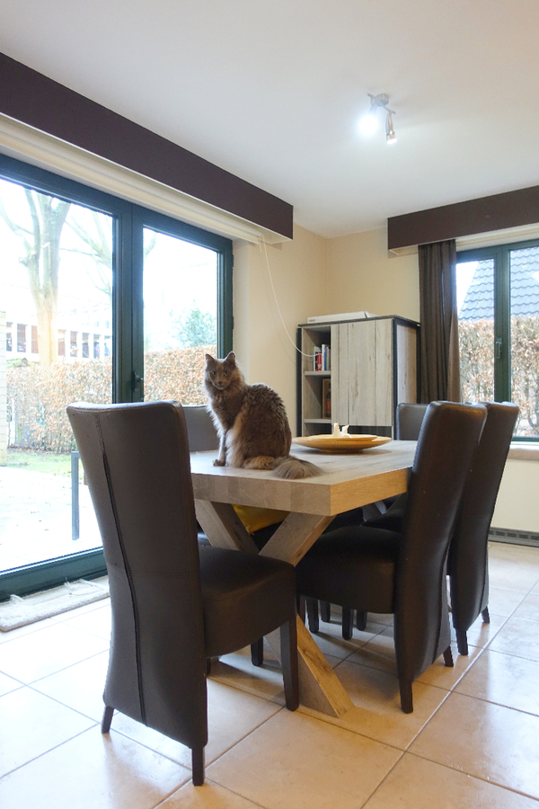 Gezellig gelijkvloersappartement met zonnige tuin en garage 