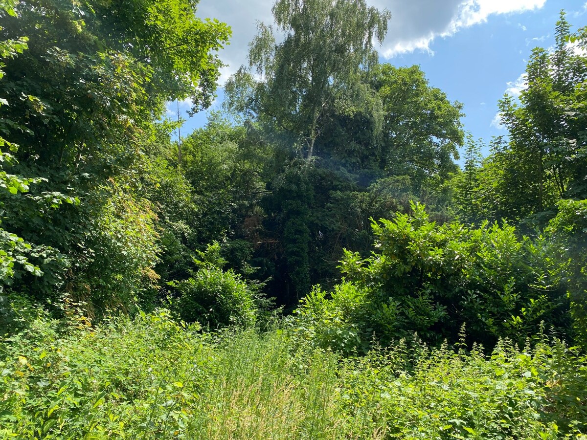 Projectgrond op een perceel van 2.579 m² met 24 meter straatbreedte. 