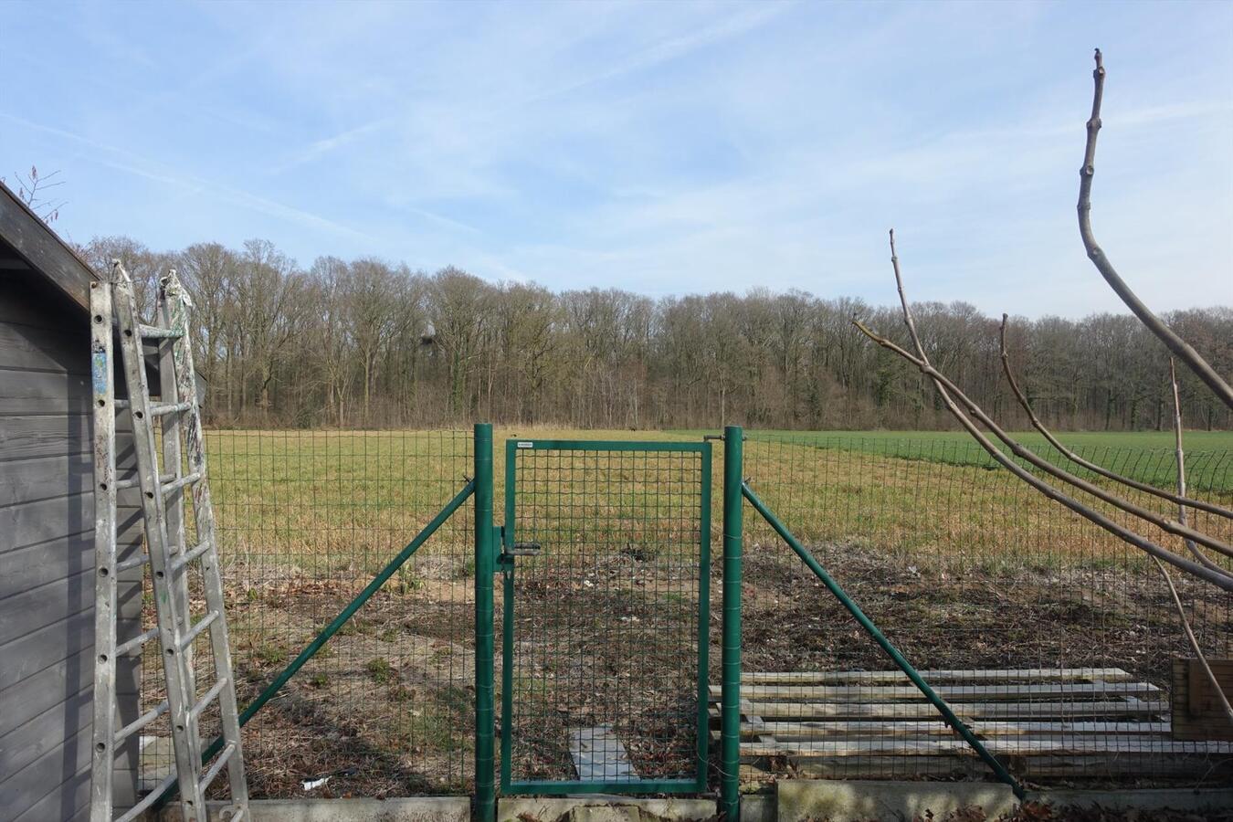 Residentieel gelegen, alleenstaande woning met achterliggende weide 