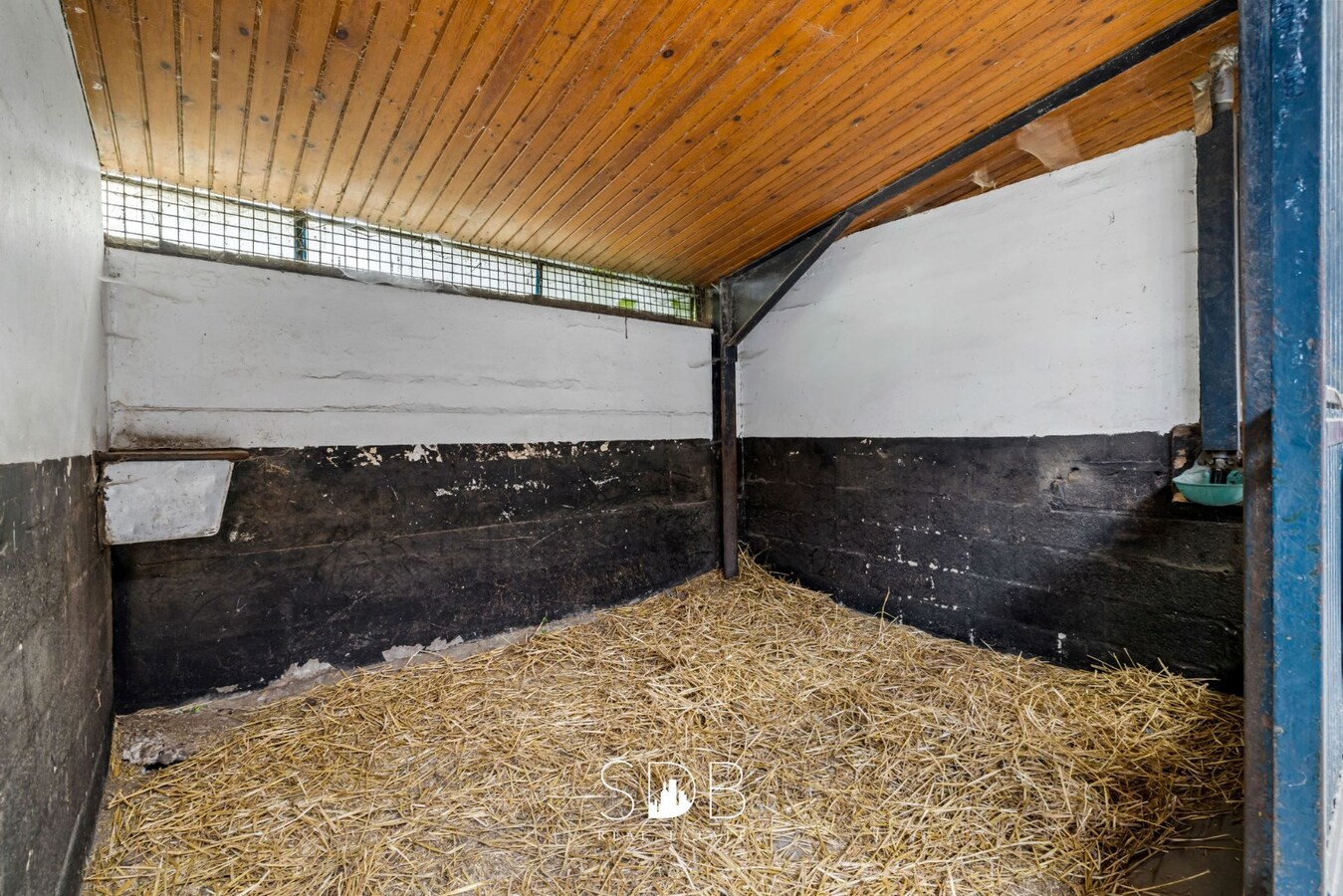 Hedendaagse woning met hippisch complex op circa 2hectare 