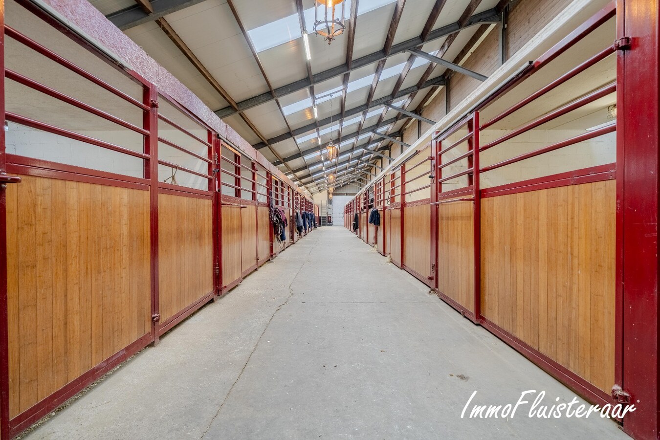 Exclusief Hippisch Complex met Uitstekende Trainingsmogelijkheden op ca 8,6 ha in Wuustwezel 