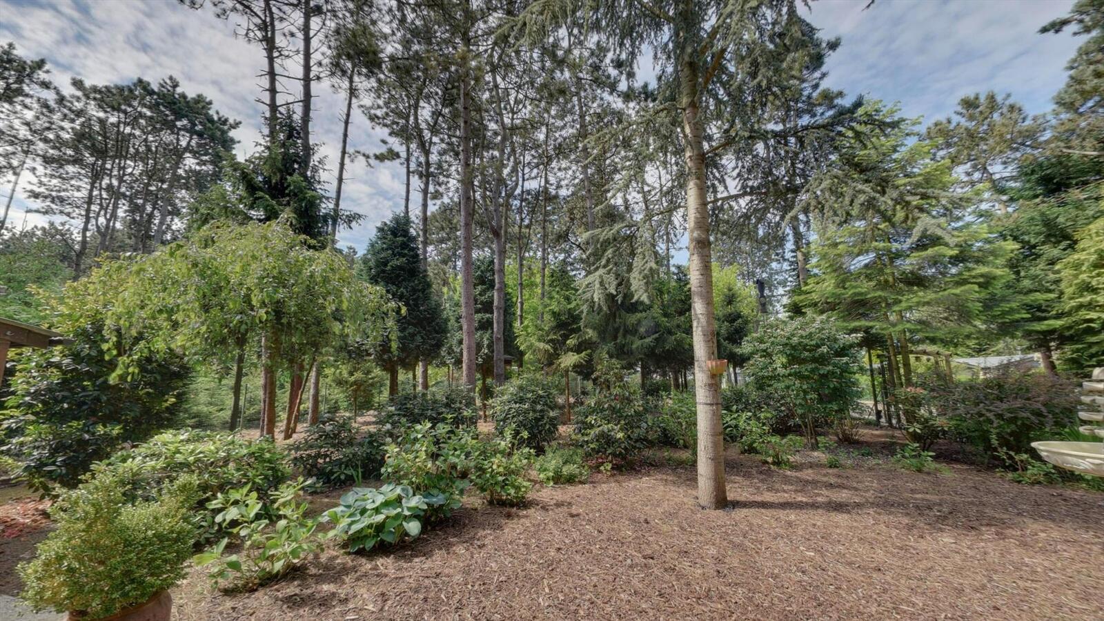 Prachtig stuk bosgrond 