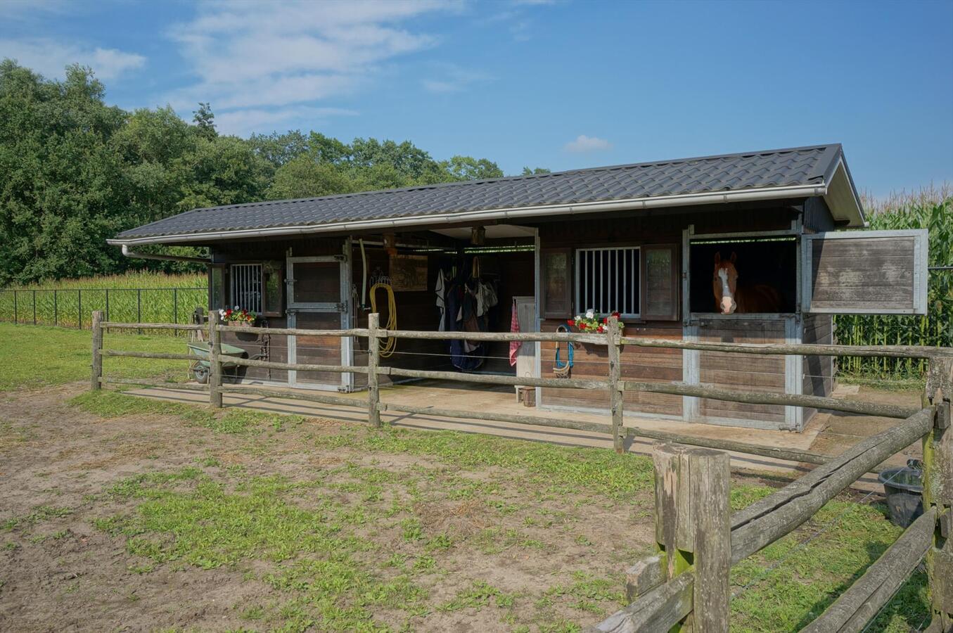 Landhuis met stallen, piste en weide op ca. 3800m² te Neerpelt (Limburg) 