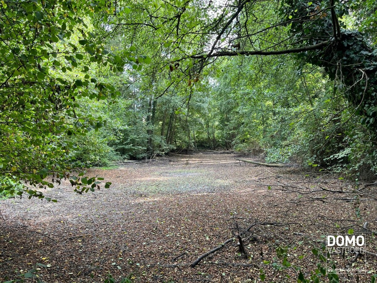 UNIEK DOMEIN MET OFF-GRID VAKANTIEWONING, SCHUUR EN 2 VIJVERS OP 1 HA 41 A 