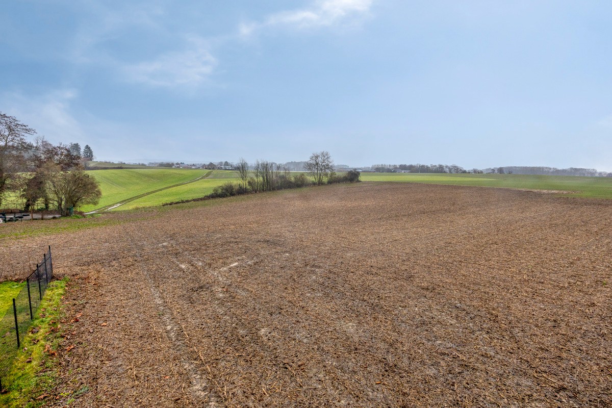 Landbouwgrond vrij van pacht in Bierbeek op een perceel van 1ha 