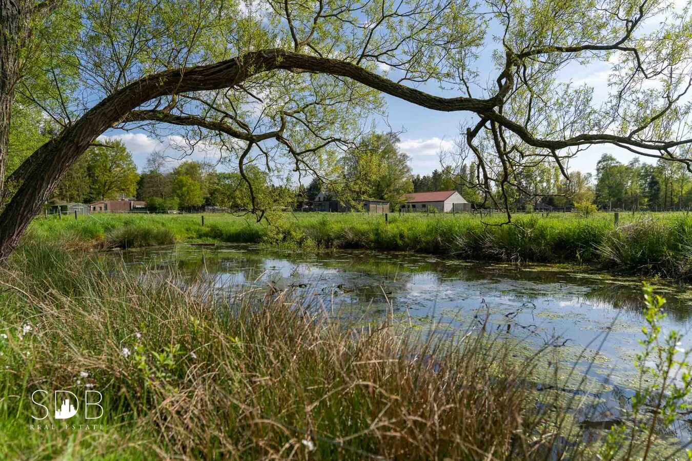 Vrijstaande gezinswoning in bungalowstijl met grasland op circa 1ha. 