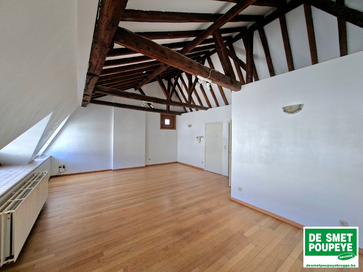 Ruim dakappartement 