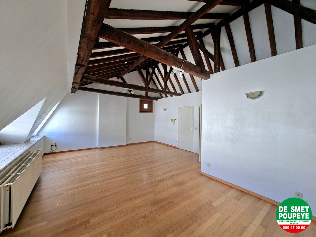 Ruim dakappartement 