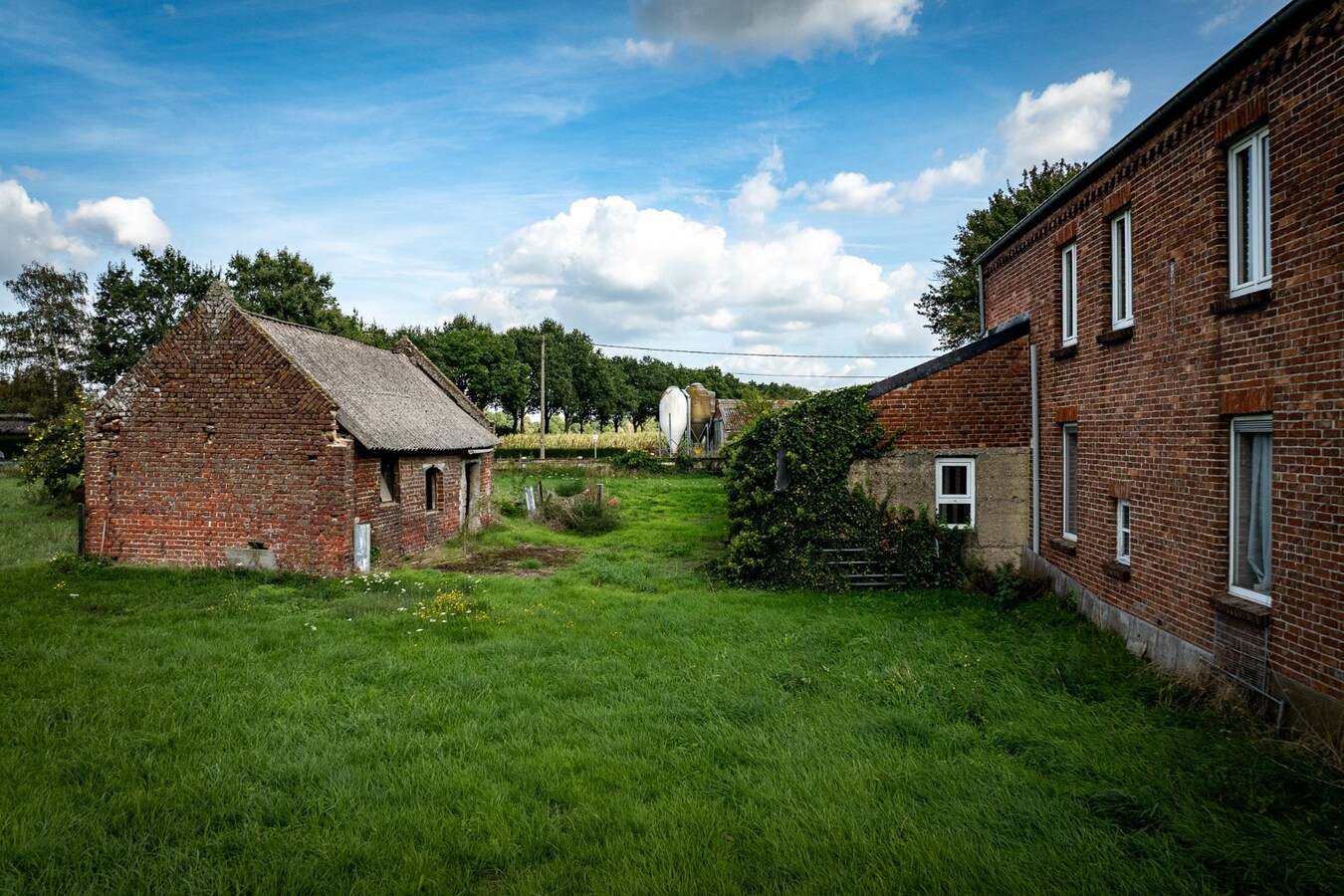 Hoeve met stalgebouwen op ca. 1ha te Bree 