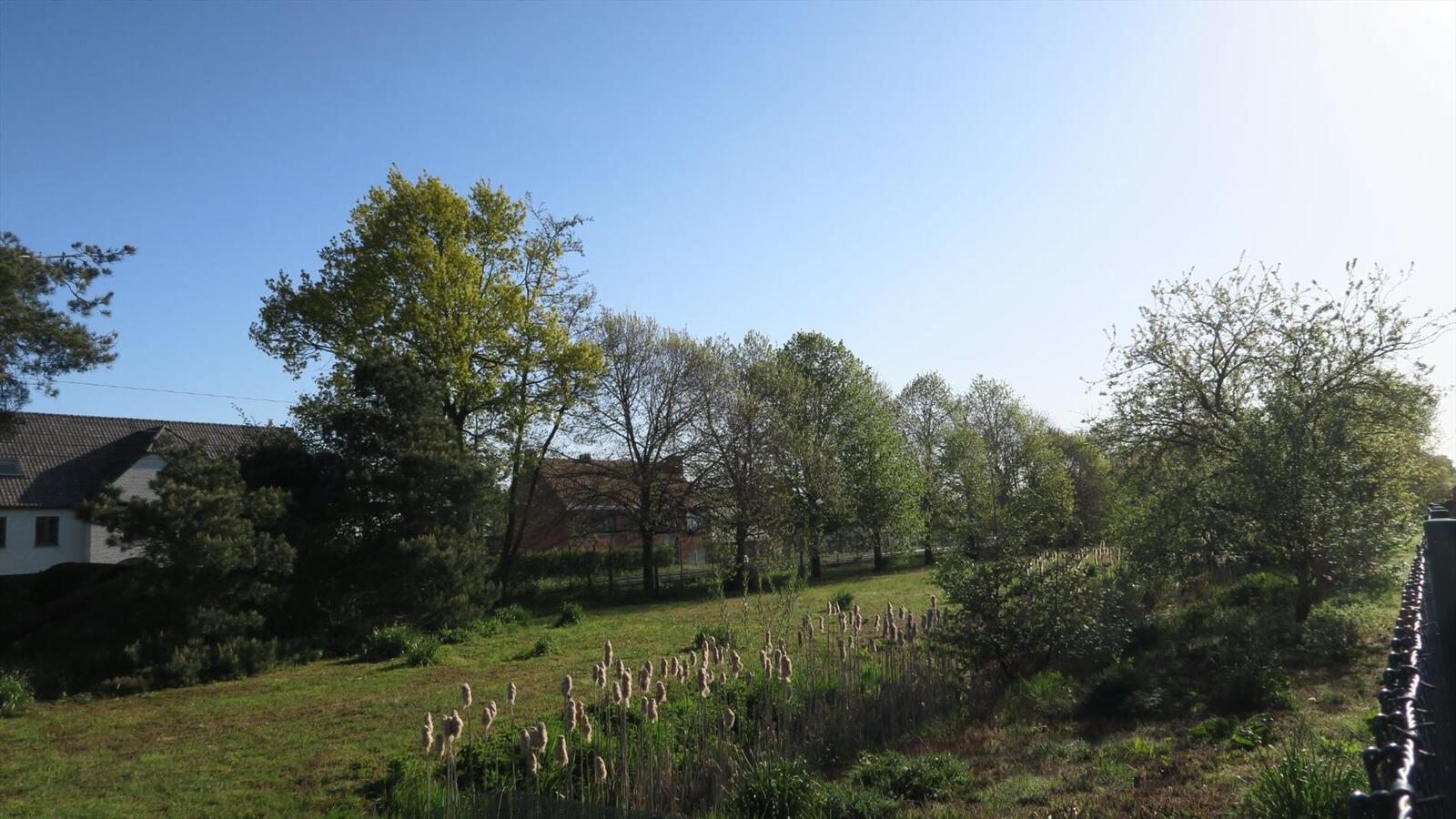 Ruim perceel grond van 3984m² 
