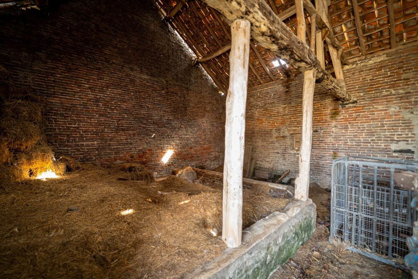 Hoeve met stalgebouwen op ca. 1ha te Bree 
