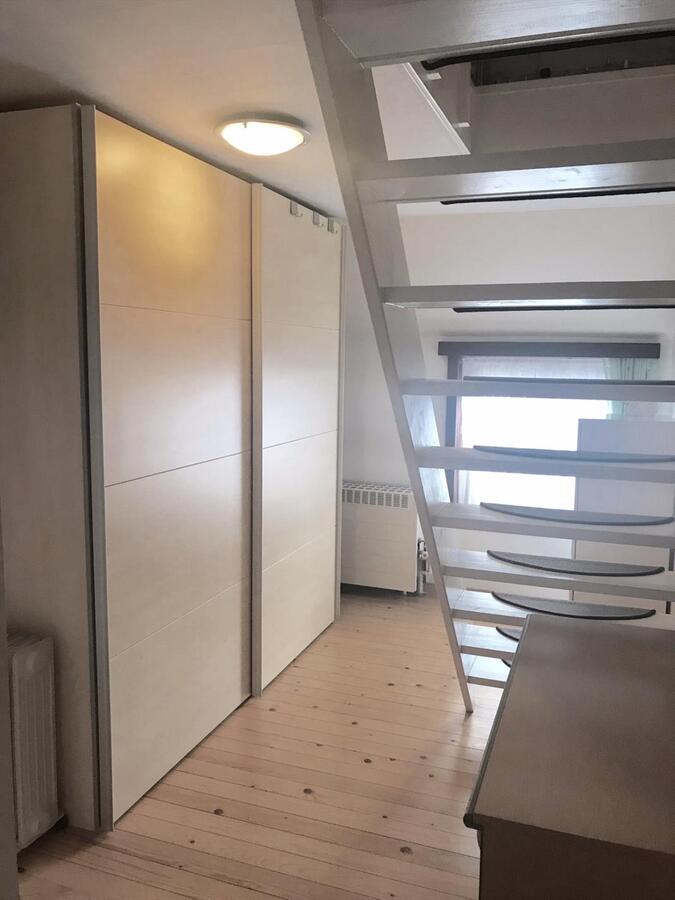 KNAP GERENOVEERDE RUIME WONING MET ZONNIGE STADSTUIN 