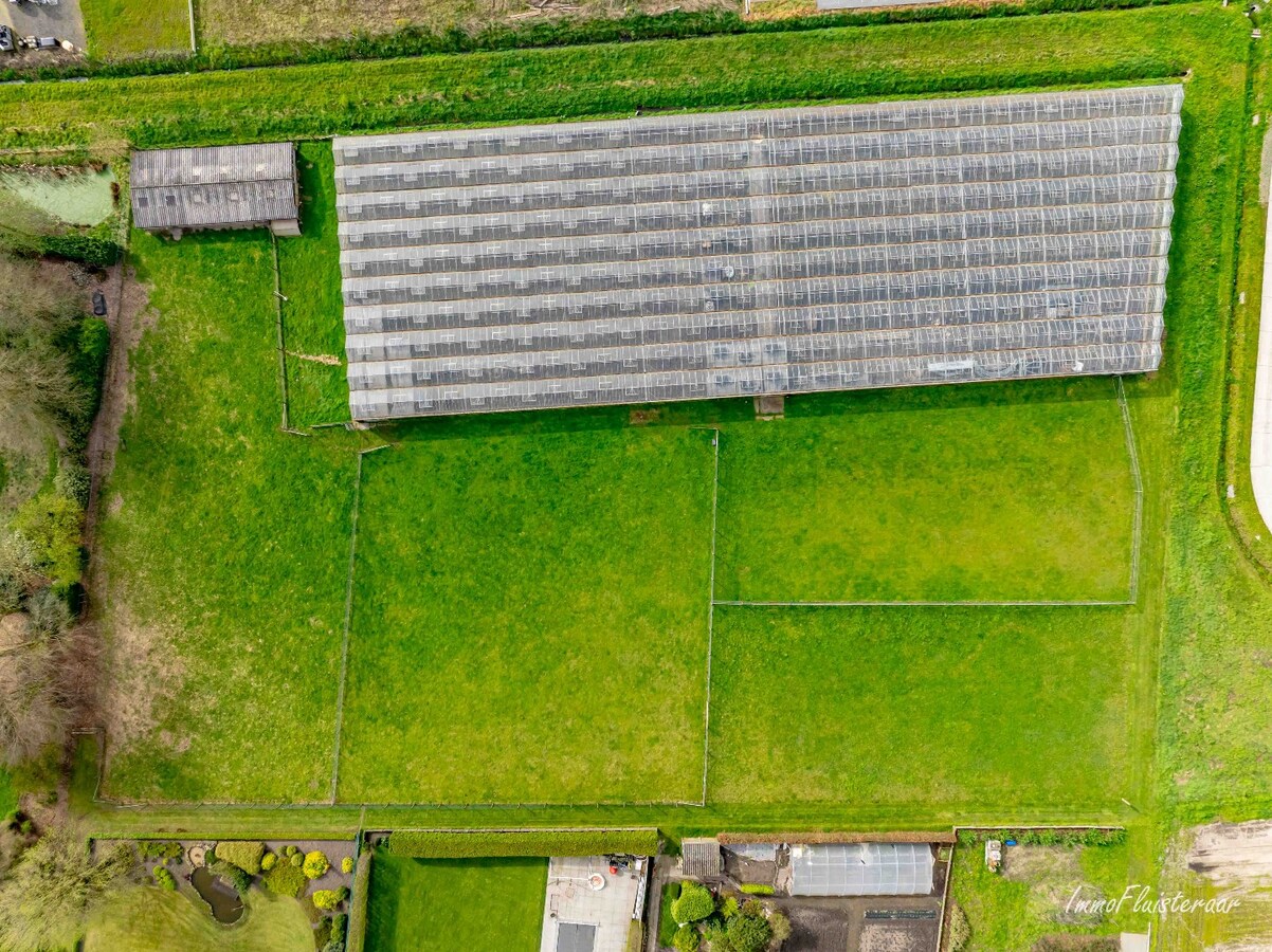 Grande maison avec des prairies et une serre sur environ 1,2 ha à Hoogstraten 
