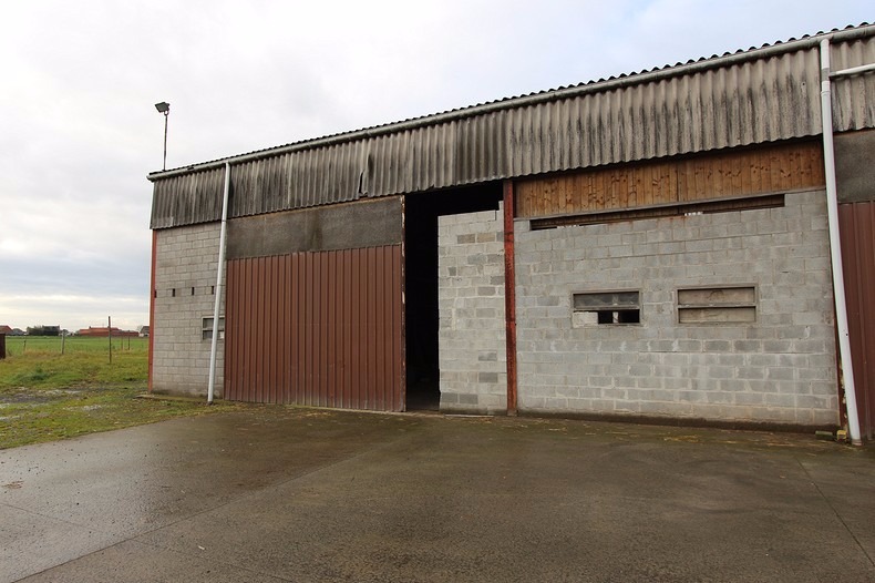 Verhuurd andere - Koekelare