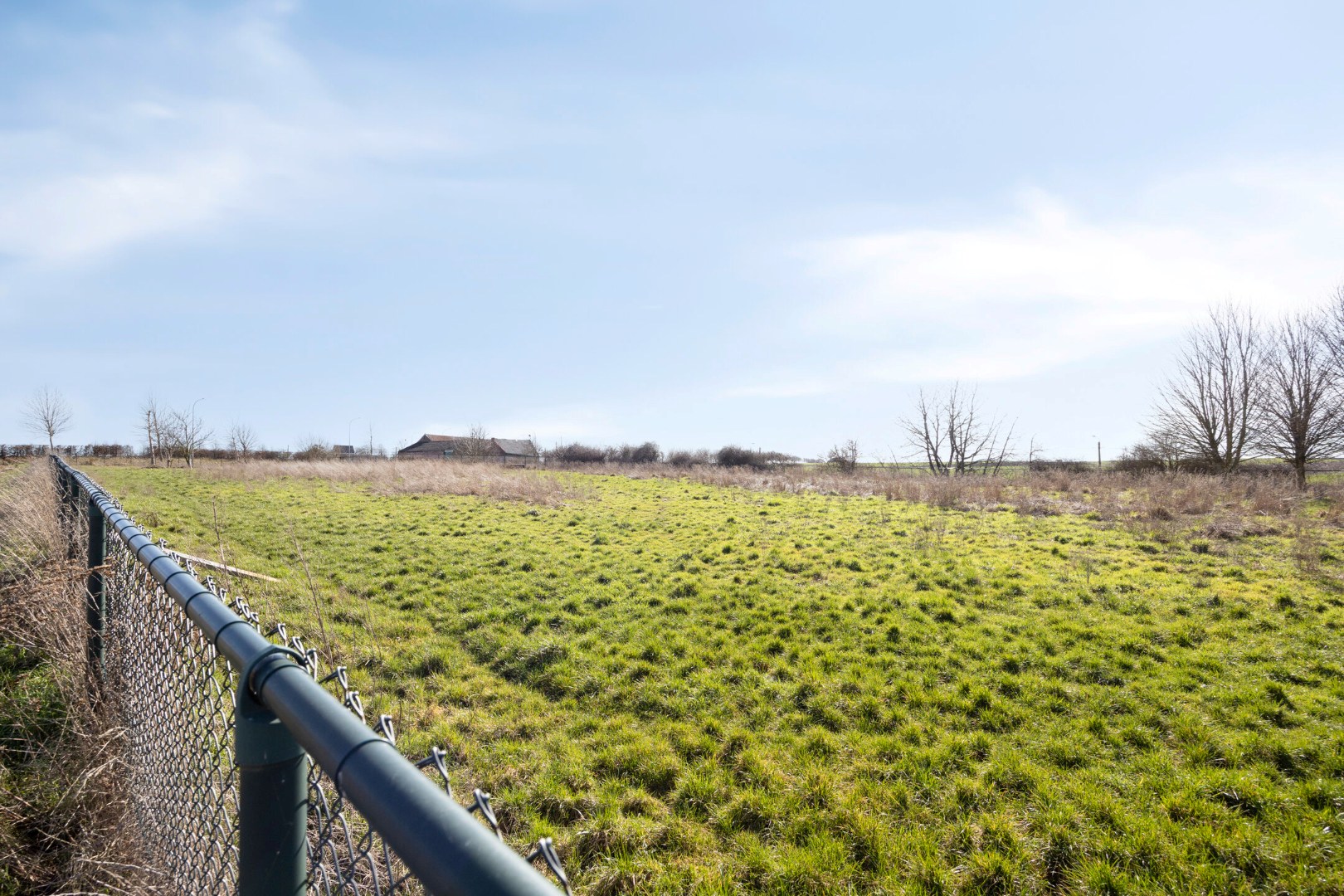 zicht van achteraan de weide