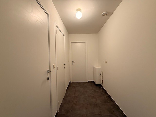 Verzorgd appartement met 1 slaapkamer, terras en lift in het centrum van Maaseik. 